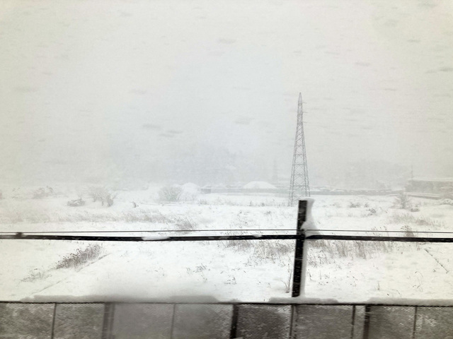 20240413_43.jpg